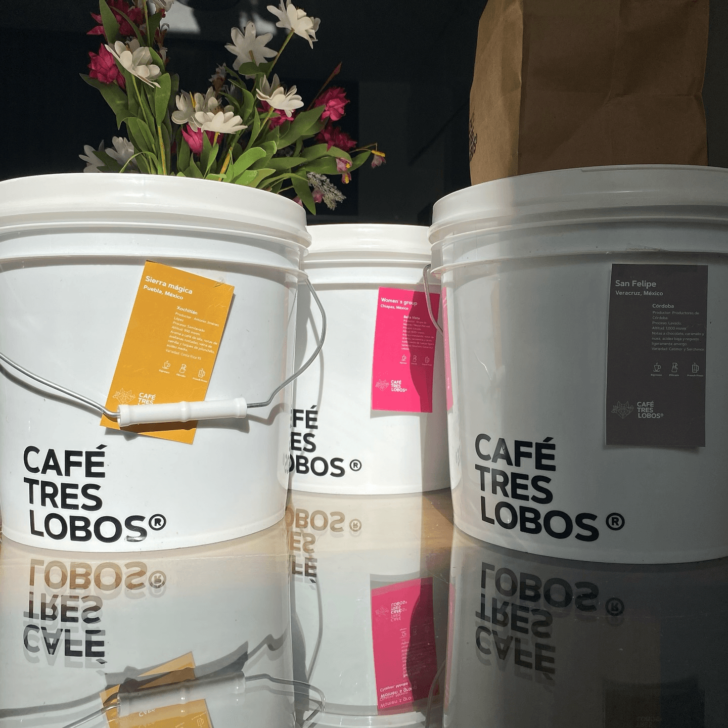Café Tres Lobos — wholesale